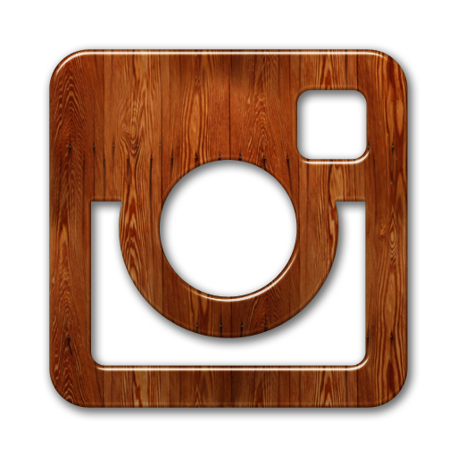 wood instagram symbol vector